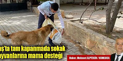 Kaş’ta tam kapanmada sokak hayvanlarına mama desteği