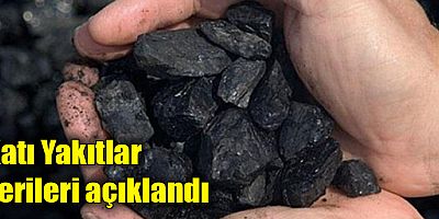 Katı yakıtlarda en fazla üretim linyit kömüründe yapıldı