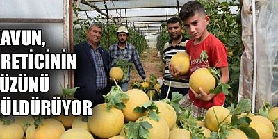 Kavun, üreticinin yüzünü güldürüyor