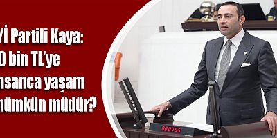 Kaya: En düşük emekli aylığı asgari ücret seviyesine çıkarılmalıdır