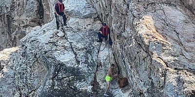 Kayalık bölgede mahsur kalan dağ keçisi kurtarıldı