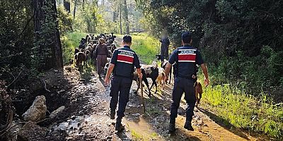 Kayıp hayvanlar Jandarma tarafından bulundu