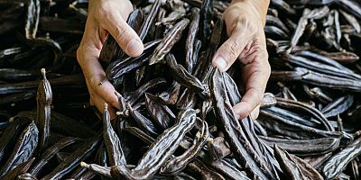 Keçiboynuzu Demreli kadınlara gelir olacak