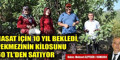 Keçiboynuzu üretiyor