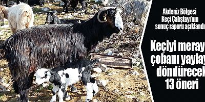 Keçiyi meraya, çobanı yaylaya döndürecek 13 öneri