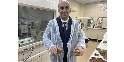 Kedi köpek maması ihracatı 10 yıl içerisinde 27 katına çıktı