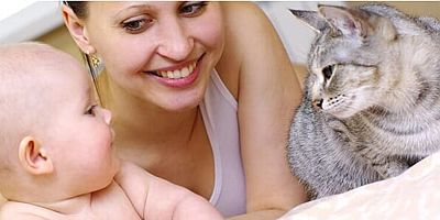 Kedi ve köpeğe alerjisi olanlara alerji aşısı yapılabiliyor