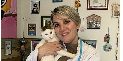 Kedim neden yemiyor?