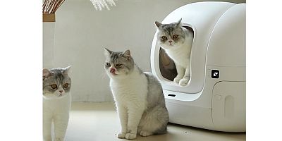 Kedinizin sağlığını ve konforunu Petkit Petkit akıllı kedi tuvaletleri ile sağlamak mümkün!