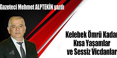 Kelebek Ömrü Kadar Kısa Yaşamlar ve Sessiz Vicdanlar