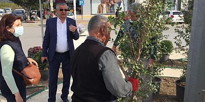 Kemer baharla canlandı