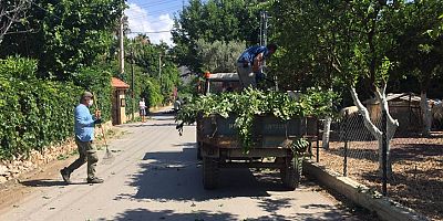 Kemer Belediyesi çalışmalara devam ediyor