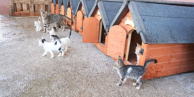 Kemer Belediyesi “Can dostları”nın yanında