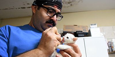 Kemer Belediyesi can dostlarına el uzatmaya devam ediyor