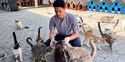 Kemer Belediyesi “Can dostlarına” sahip çıkıyor