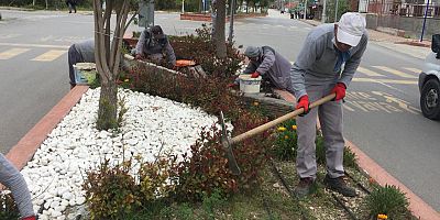 Kemer Belediyesi daha yeşil bir belediye için çalışıyor