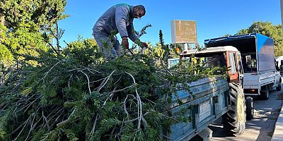 Kemer Belediyesi fırtınanın yaralarını sarıyor