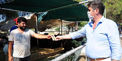 Kemer Belediyesi Kurban Bayramı için önlemlerini alıyor