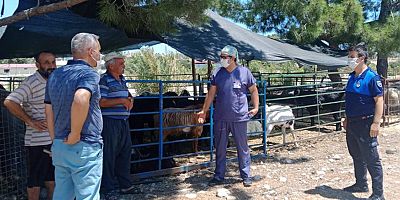 Kemer Belediyesi Kurban Bayramı için önlemlerini alıyor
