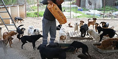 Kemer Belediyesi mama üretim tesisini açıyor 