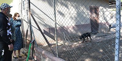 Kemer Belediyesi'nden kardeş barınak projesi