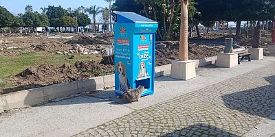 Kemer Belediyesi'nden sokak hayvanları için mamamatik sistemi