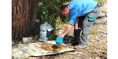 Kemer Belediyesi'nden sokak hayvanlarına mama desteği