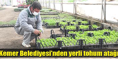 Kemer Belediyesi'nden yerli tohum atağı