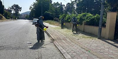 Kemer Belediyesi’nden yeşil alanlarda bakım çalışmaları 