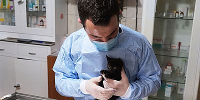 Kemer Belediyesi patili dostların yanında 