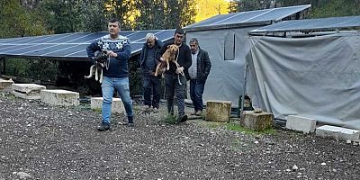 Kemer Belediyesi sahip çıktı