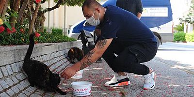 Kemer Belediyesi tam kapanma süresince can dostlarının yanında