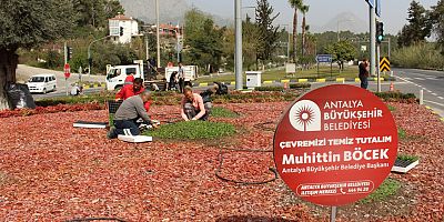 Kemer çiçekleriyle göz kamaştıracak
