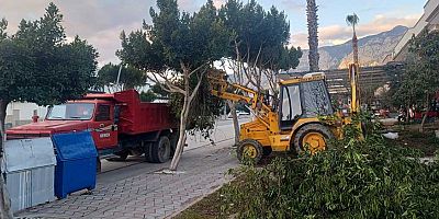 Kemer’de 2025 yılında 7 bin 111 ton atık toplandı