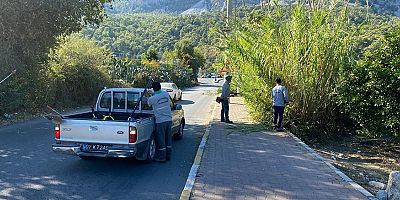 Kemer’de budama çalışmaları 