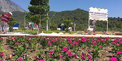 Kemer'de çiçek dikimi ve ağaç budama işleri sürüyor