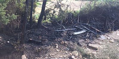 Kemer'de çıkan orman yangını büyümeden kontrol altına alındı