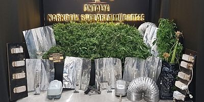 Kemer'de kenevir operasyonu