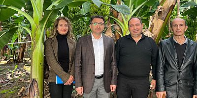 Kemer'de kurulan ilk muz serasında üretim başladı