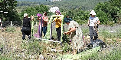 Kemer’de lavanta tanıtım etkinlikleri başlıyor 