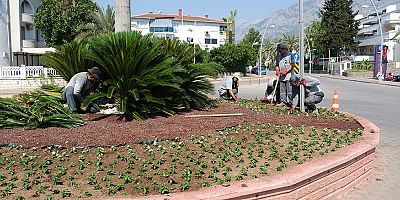 Kemer’de mevsimlik çiçekler ekiliyor