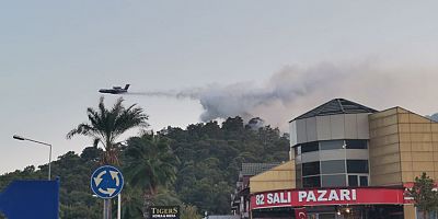 Kemer'de orman yangını