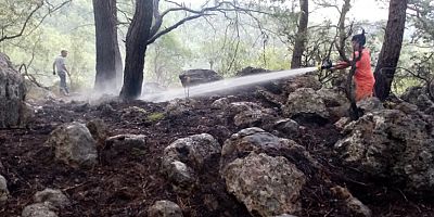 Kemer'de orman yangını