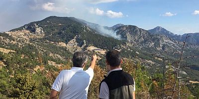 Kemer'de orman yangını