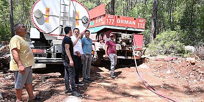Kemer'de orman yangını 