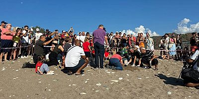 Kemer’de son caretta caretta yuvası açıldı 