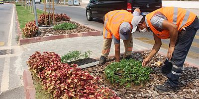 Kemer’de takades çiçeği açacak