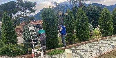 Kemer'de yeşil alanlarda bakım çalışmaları