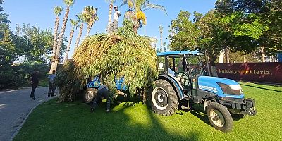 Kemer'de yeşil alanlarda bakım çalışmaları 