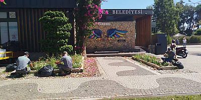 Kemer'de yeşil alanlarda bakım çalışmaları